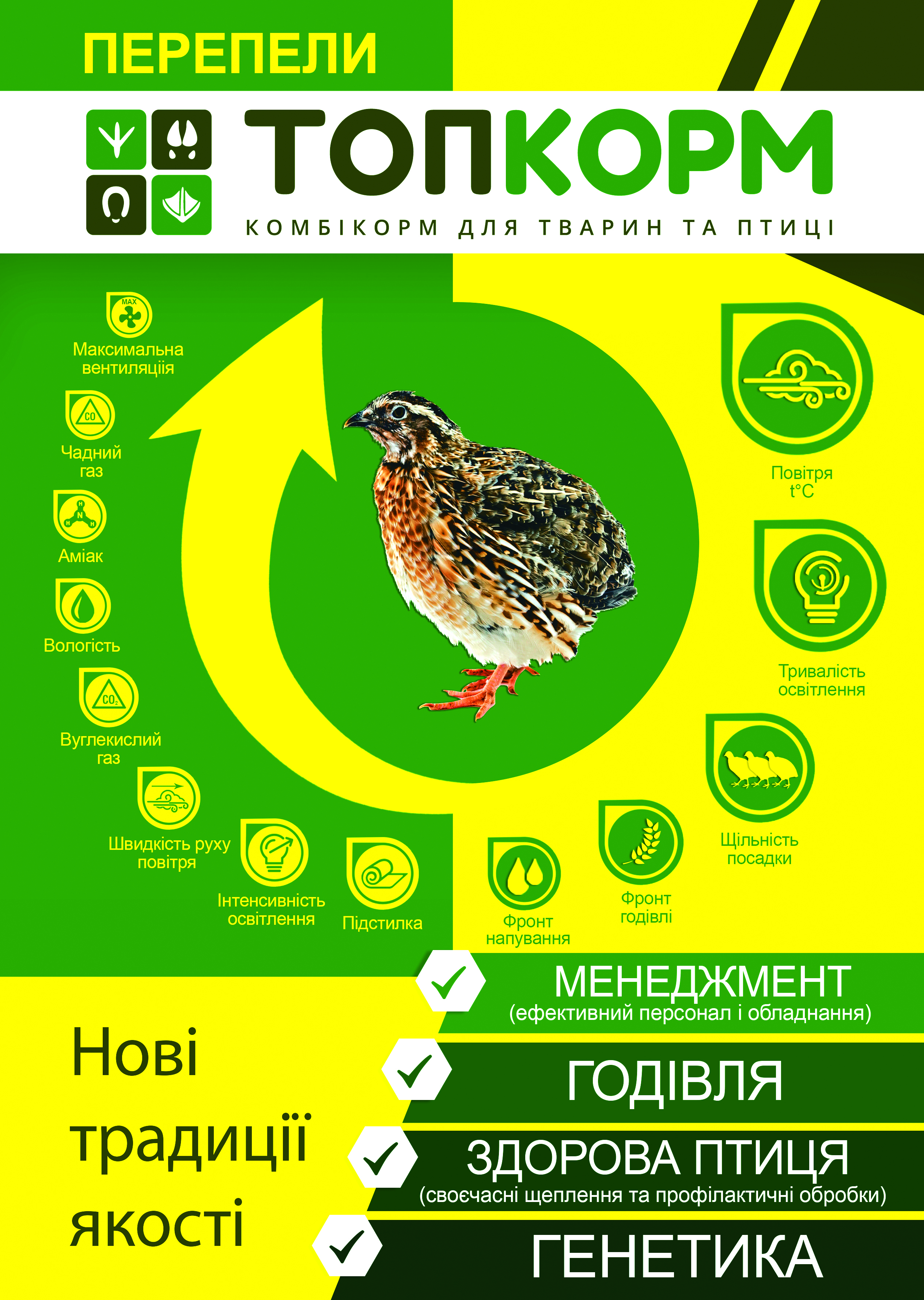 листовка_бройлер