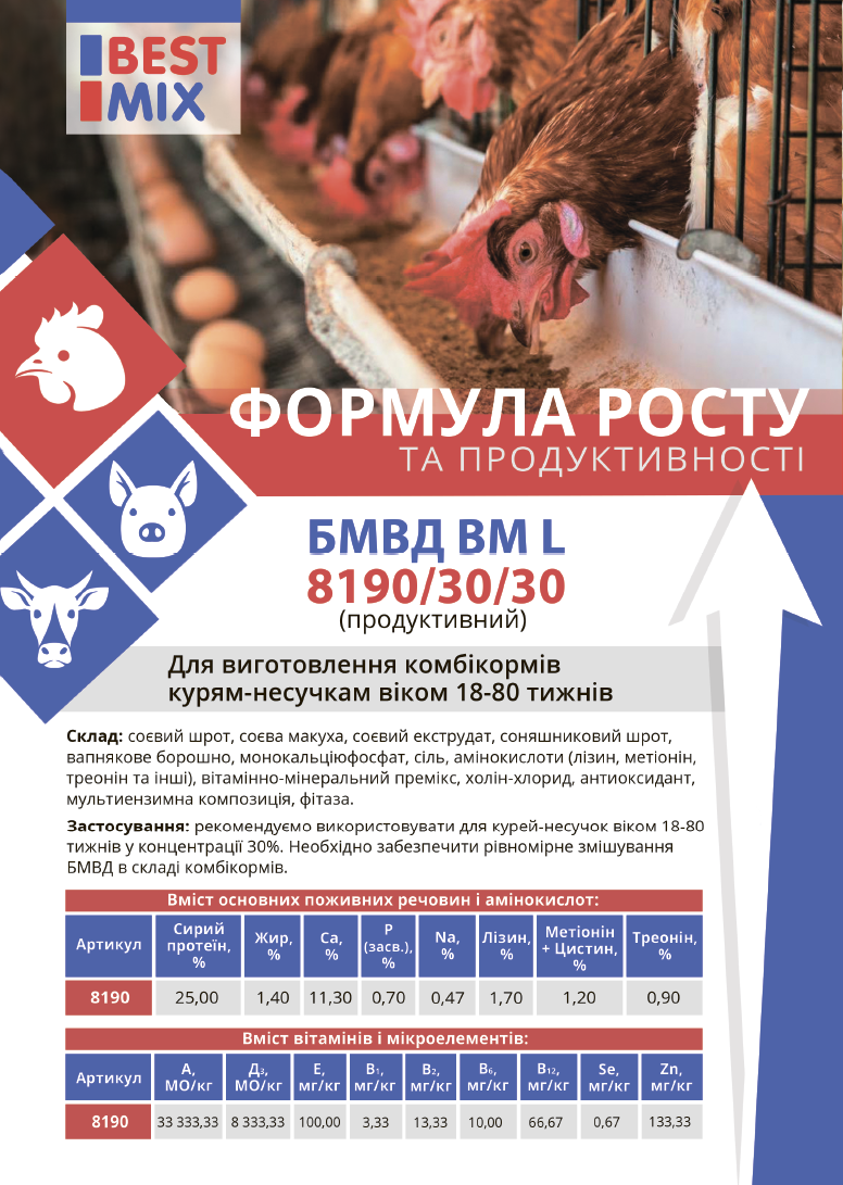 листовка_бройлер