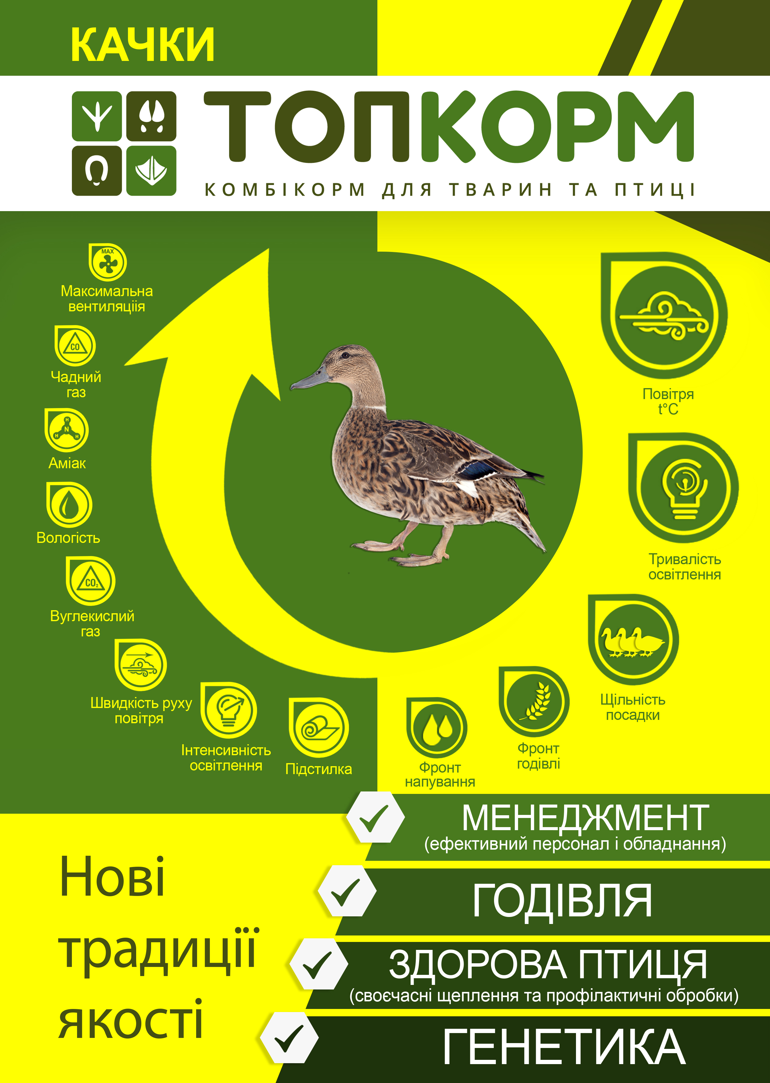 листовка_бройлер