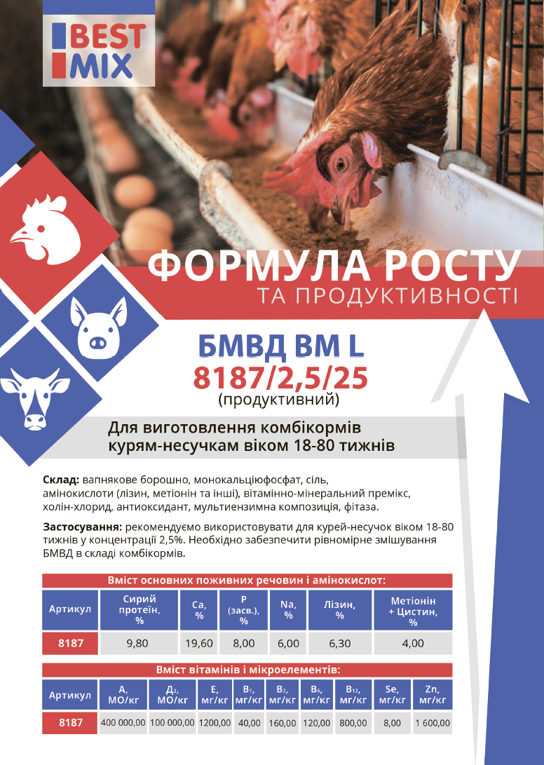 листовка_бройлер