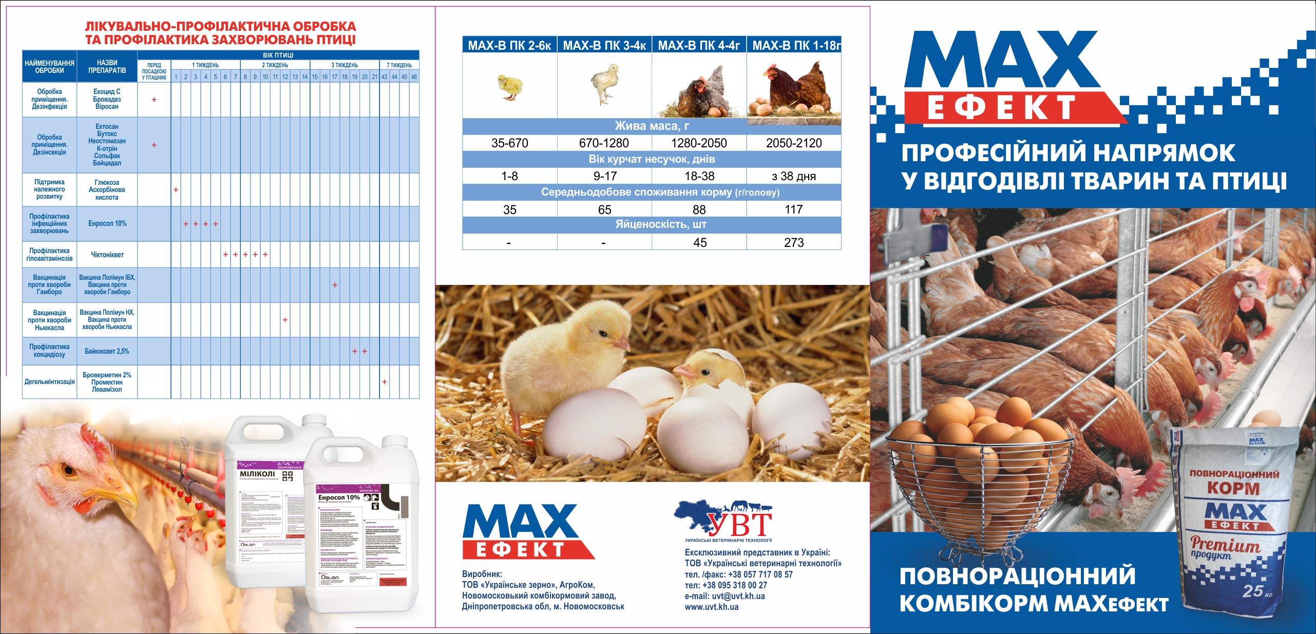 листовка_бройлер