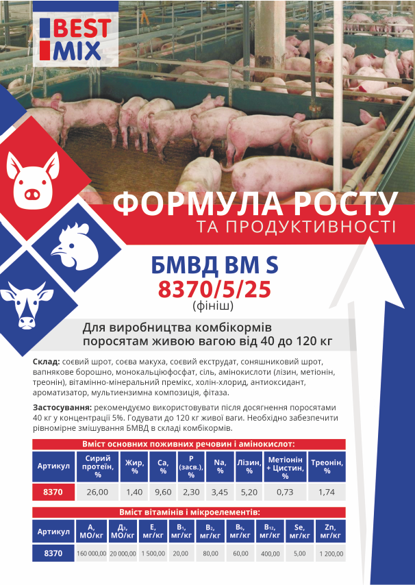 листовка_бройлер